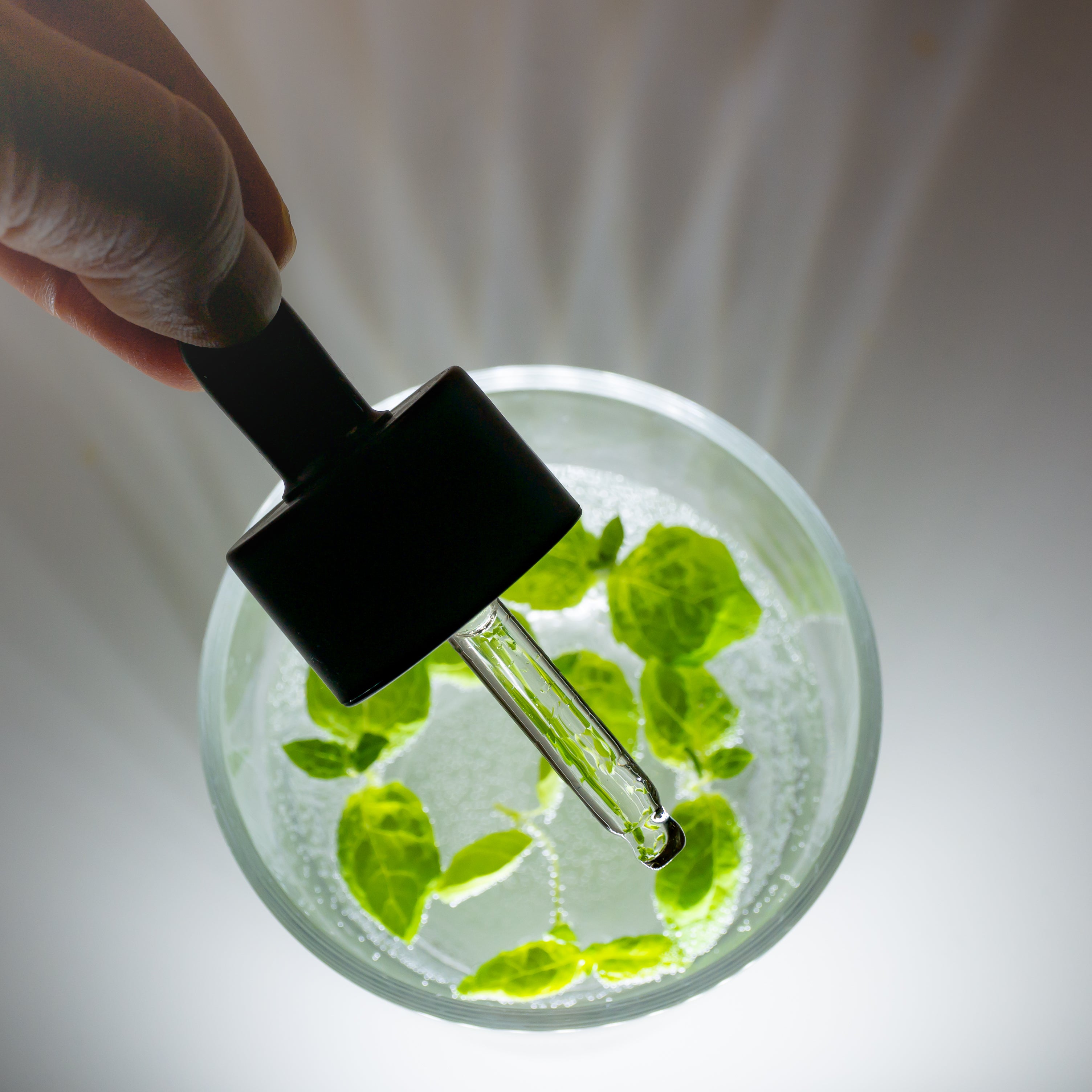 Rainforest Omega Rich Oil Serum - 30 ml-2